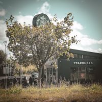 Nature and Commercial Architecture: Starbucks in the Context of Psychogeography, Emotions, and Posthumanism